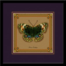 Бабочка Precis Orithya (коллекция бабочек)