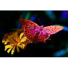 Бабочка - Arginnis Pandora